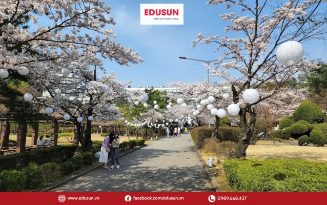 Khuôn viên Đại học Ajou