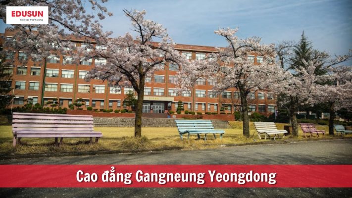 Du học Hàn Quốc ngành sự kiện - Cao đẳng Gangneung Yeongdong