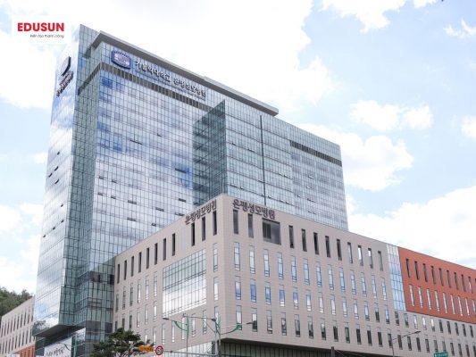  Đại học Catholic