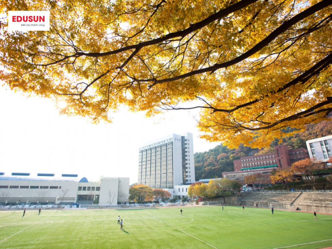 Đại học Đông A Hàn Quốc tìm hiểu 