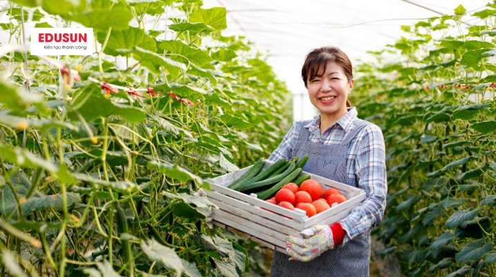 Nông nghiệp và môi trường