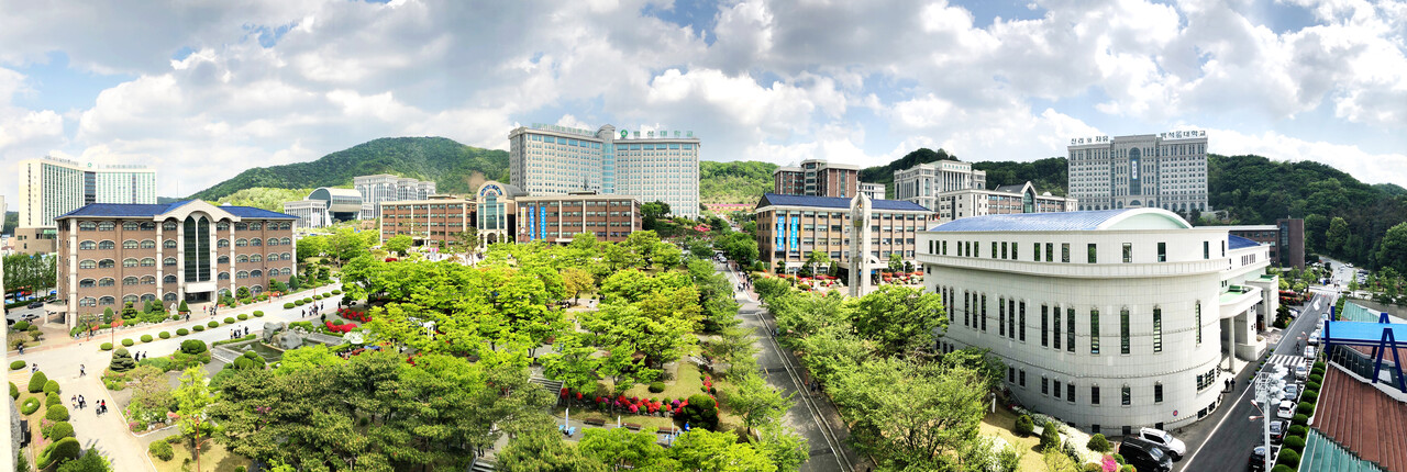 Đại học Baekseok 