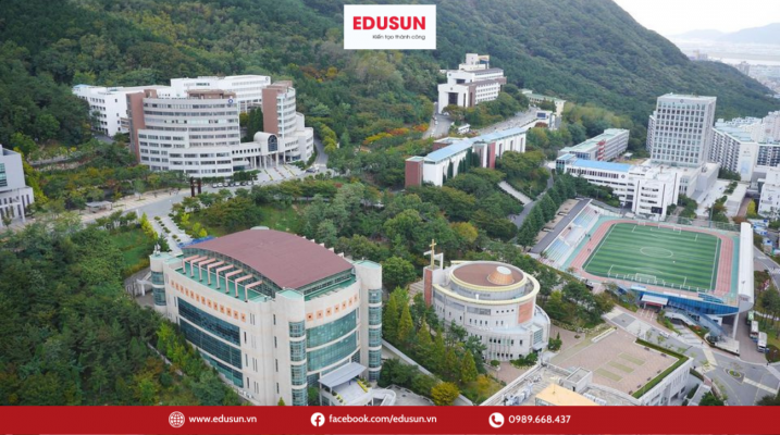 Trường Đại học DongSeo