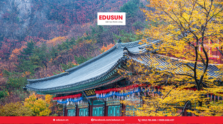 Tìm hiểu ngành ngôn ngữ Hàn Quốc