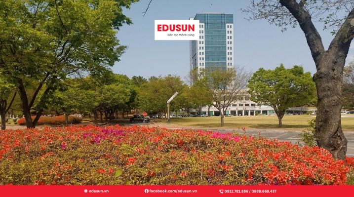 Trường Daegu Hàn Quốc