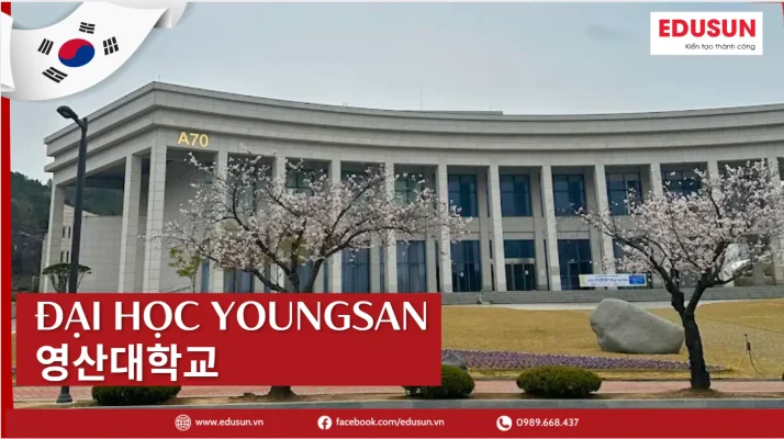 đại học youngsan